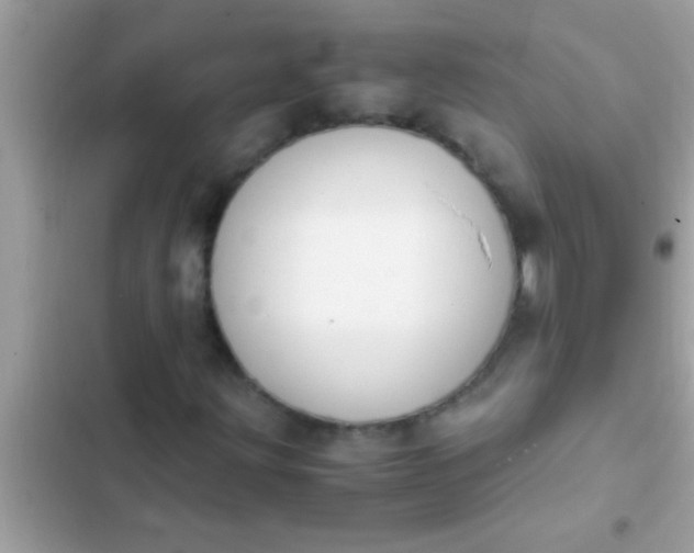 X0000102391203200808151913