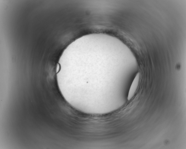 X0000102391204200808151913