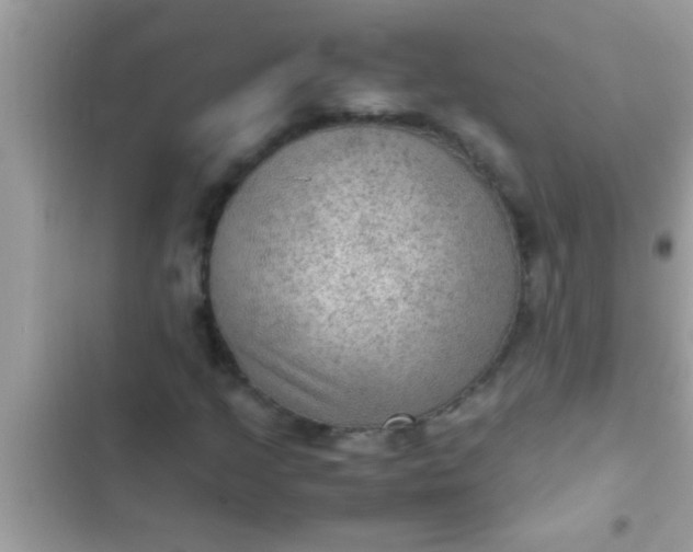 X0000102391205200808151913