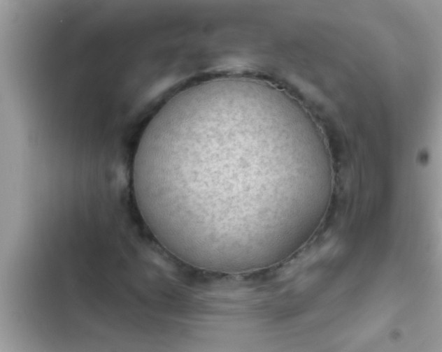 X0000102391206200808151913