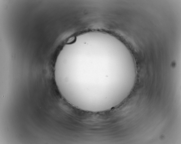 X0000102391207200808151913