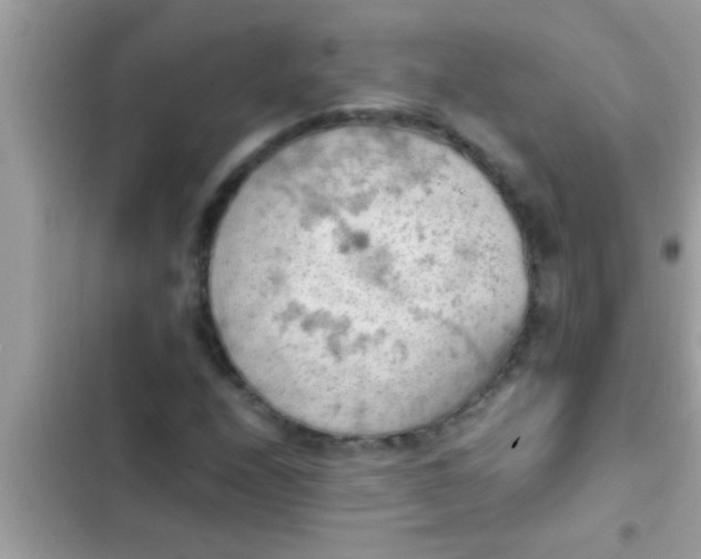 X0000102391208200808151913