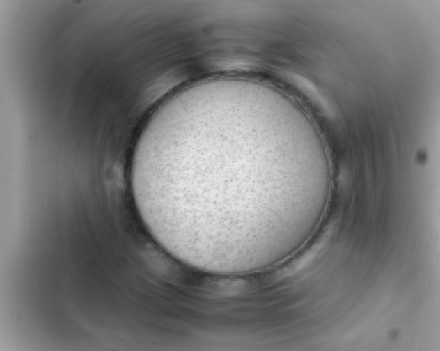 X0000102391209200808151913