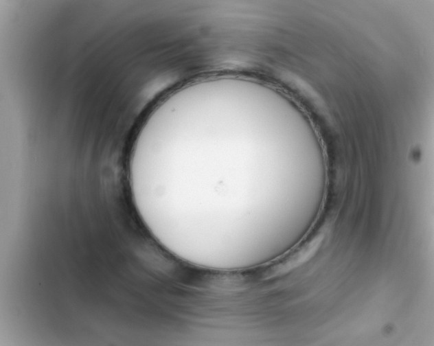 X0000102391210200808151913