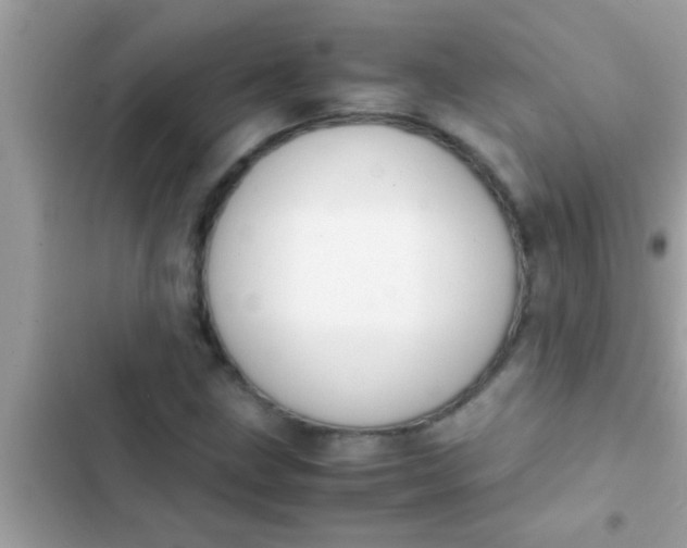 X0000102391211200808151913