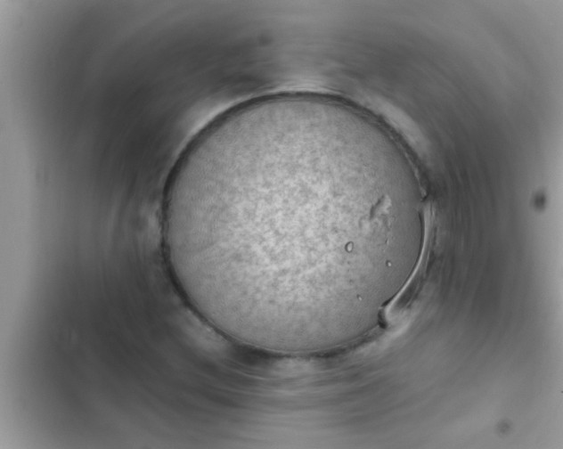 X0000102391212200808151913