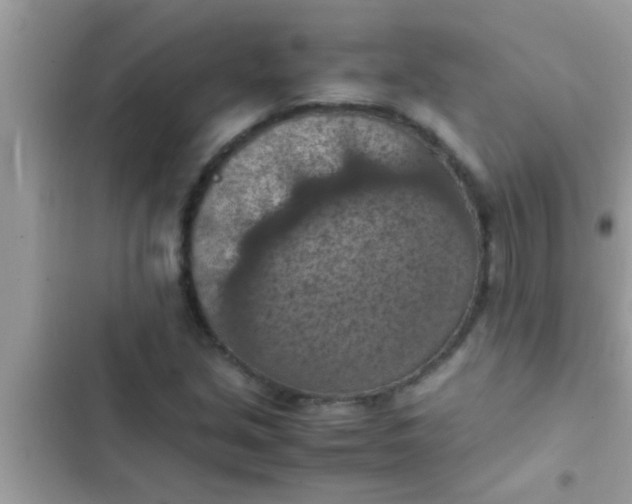 X0000102391213200808151913