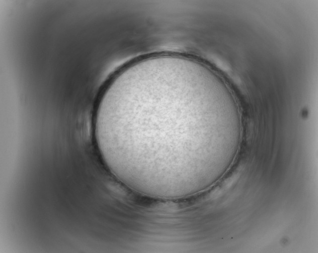 X0000102391214200808151913