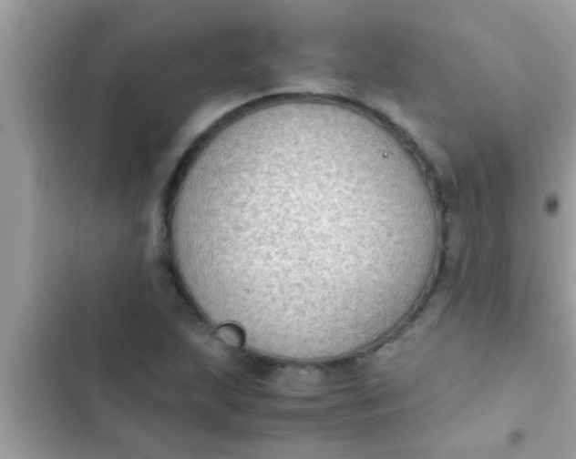 X0000102391215200808151913