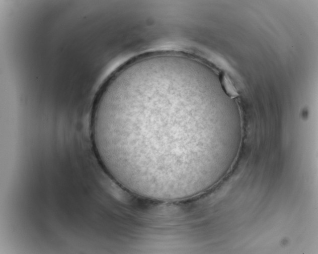 X0000102391216200808151913