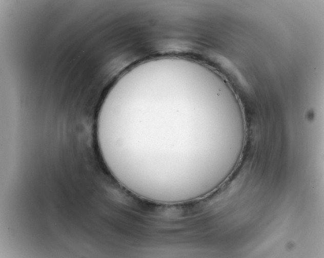 X0000102391217200808151913