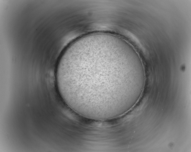 X0000102391218200808151913