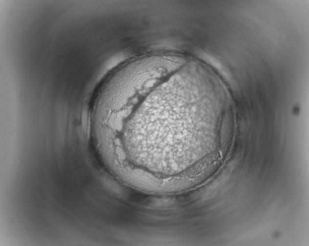 X0000102391219200808151913