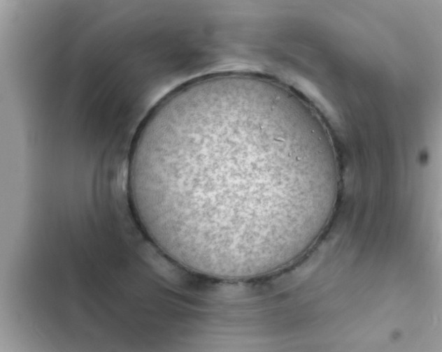 X0000102391220200808151913