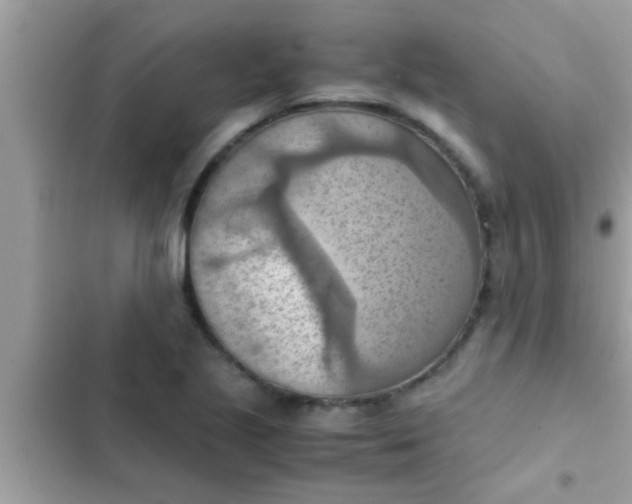 X0000102391221200808151913