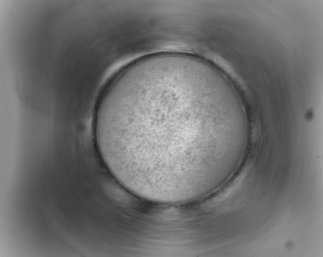 X0000102391222200808151913