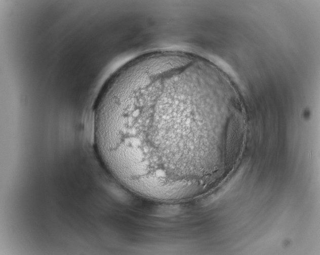 X0000102391223200808151913