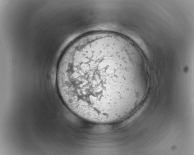 X0000102391224200808151913