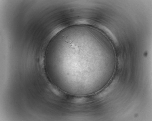 X0000102391225200808151913