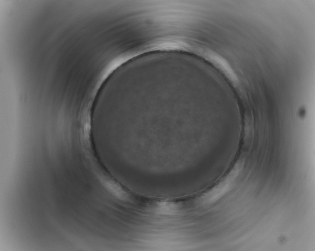 X0000102391226200808151913