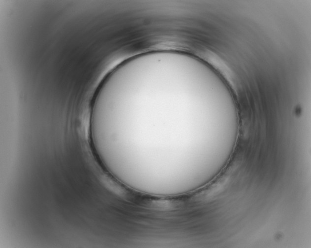 X0000102391227200808151913