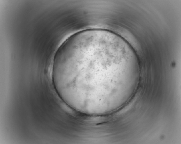 X0000102391228200808151913