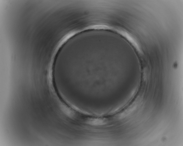 X0000102391229200808151913