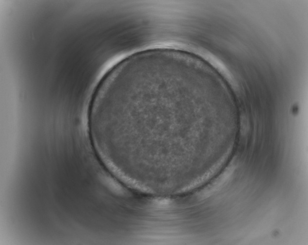 X0000102391230200808151913