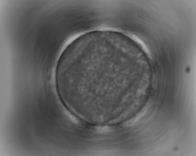 X0000102391231200808151913