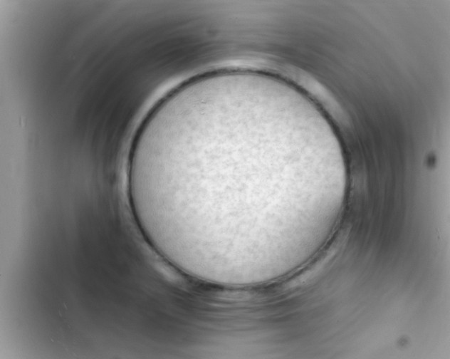 X0000102391232200808151913