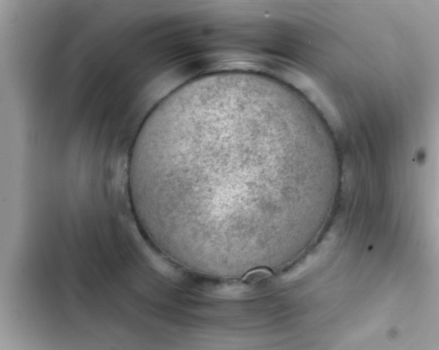 X0000102391233200808151913