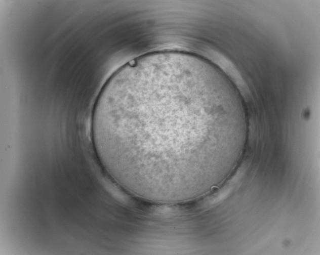 X0000102391234200808151913