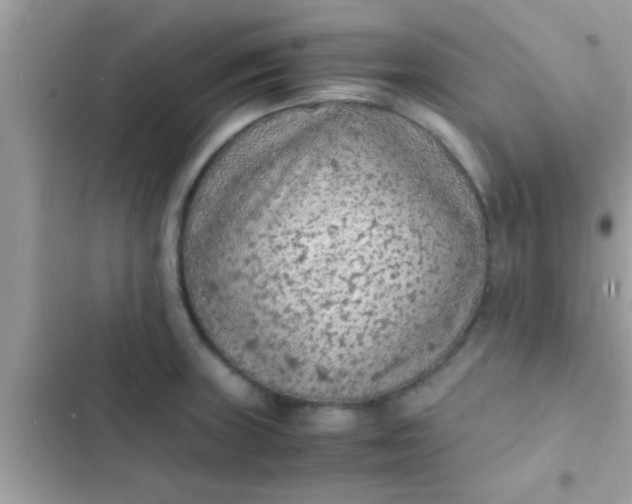 X0000102391235200808151913