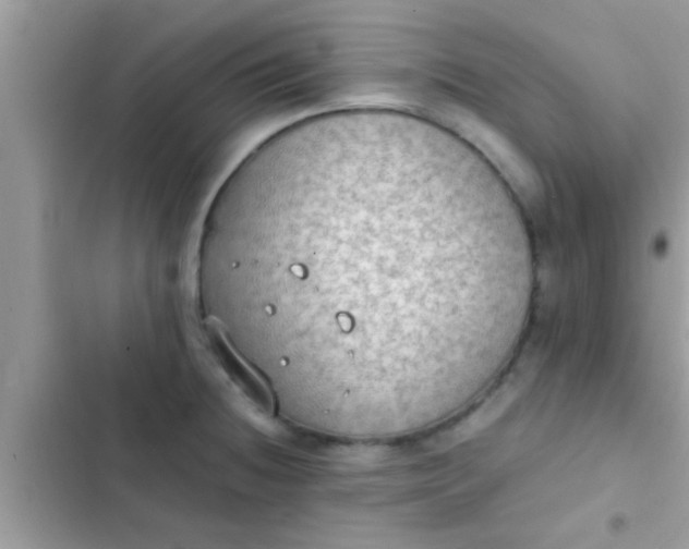 X0000102391236200808151913