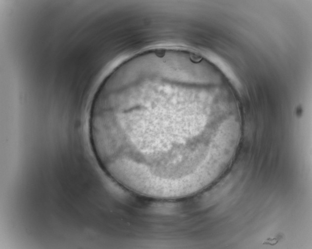 X0000102391237200808151913