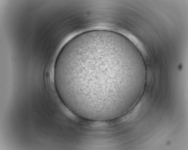 X0000102391238200808151913