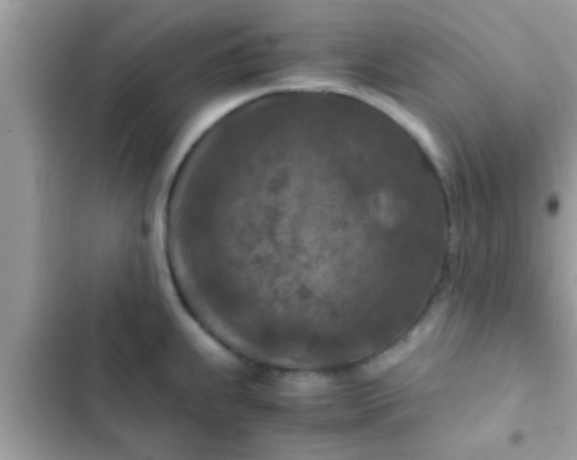 X0000102391239200808151913