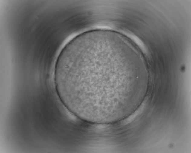 X0000102391240200808151913