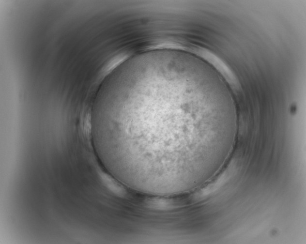 X0000102391241200808151913