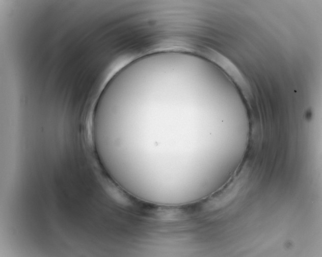 X0000102391242200808151913