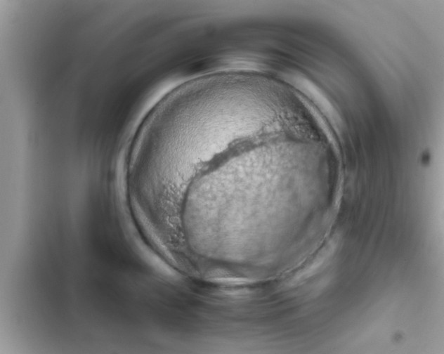 X0000102391243200808151913