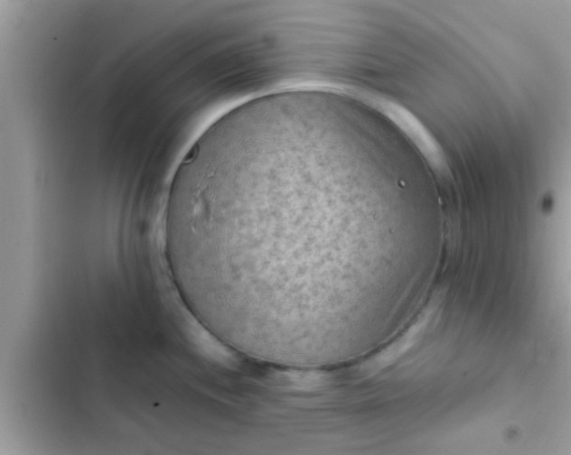 X0000102391244200808151913