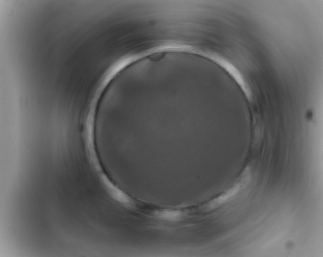 X0000102391245200808151913