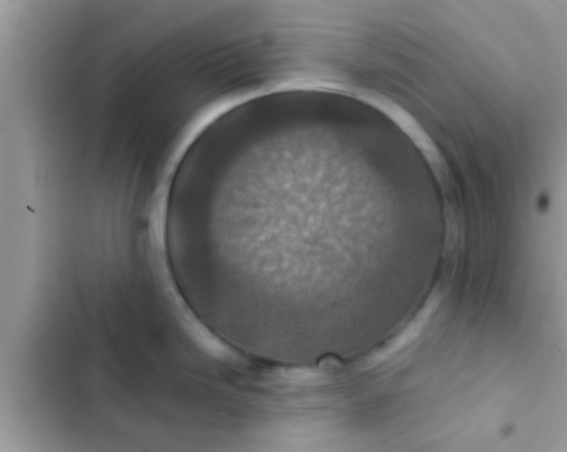 X0000102391246200808151913