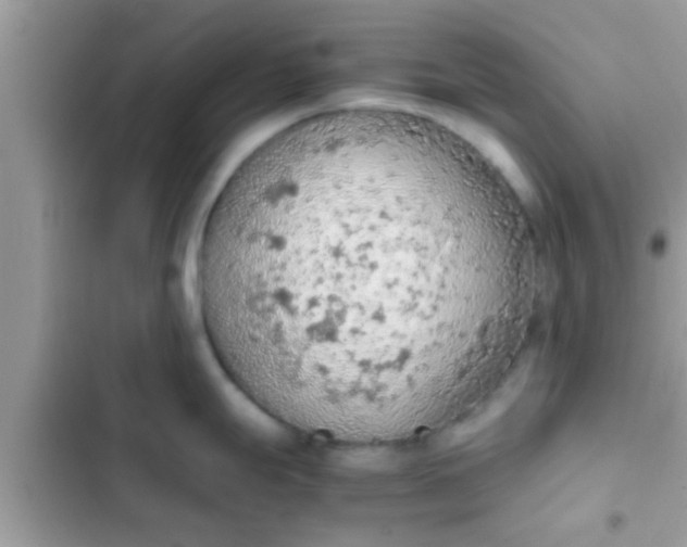 X0000102391247200808151913