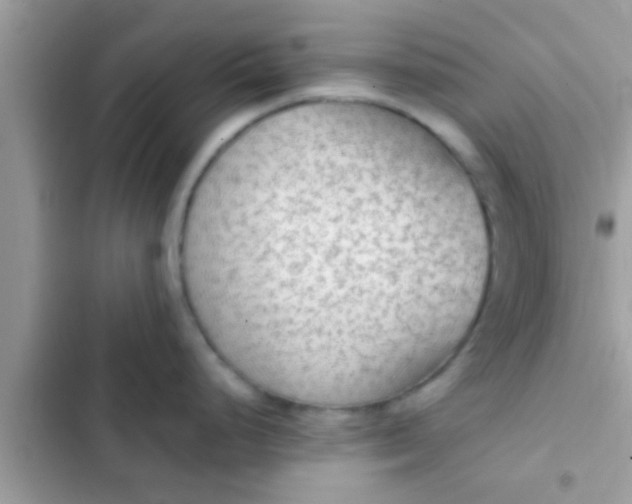 X0000102391248200808151913