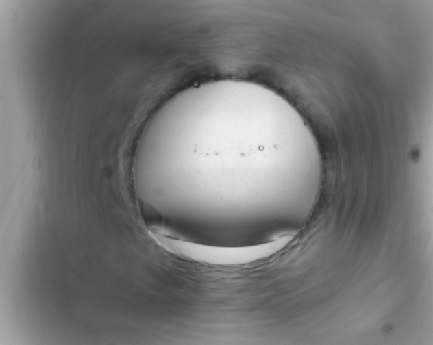 X0000102391249200808151913