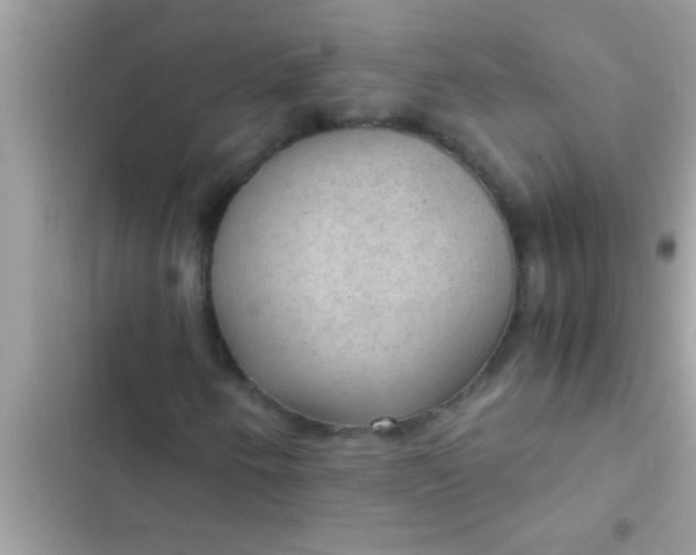 X0000102391250200808151913