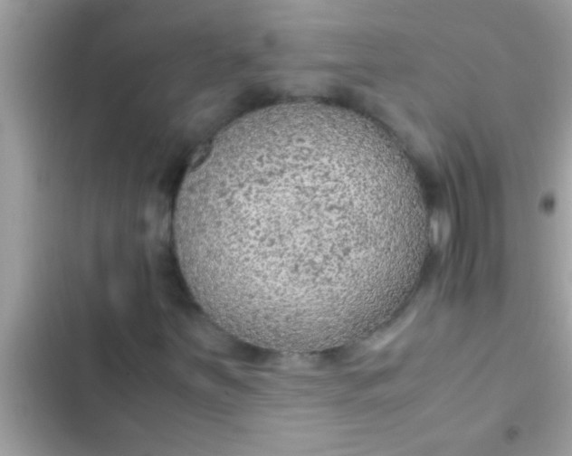 X0000102391251200808151913