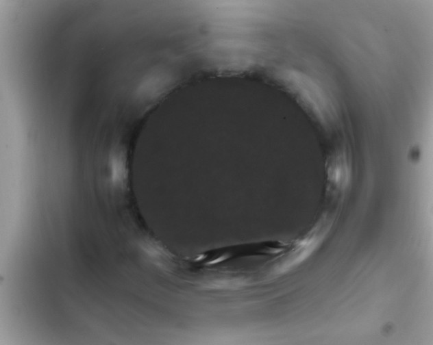 X0000102391252200808151913